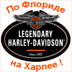   Harley-Davidson, BMW, Honda        
