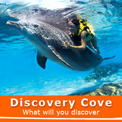       - ' '  ! Discovery Cove Orlando e-Tickets Buy Online!