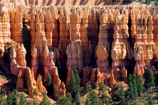 Национальный парк США Брайс-Каньон (Bryce Canyon National Park) - один из самых известных природных заповедников США. Туры из Лас-Вегаса в Гранд-Каньон от туроператора по США 'Cosmopolitan Travel'.