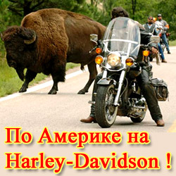 Мототуры и аренда мотоциклов Harley-Davidson, BMW, Honda в Лас-Вегасе