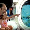 Экскурсия на подводной лодке - бронировать онлайн экскурсии на Гавайях от туроператора по США. Oahu Atlantis Submarine Adventure Tour Buy Online!