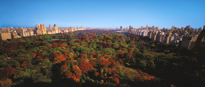     -   'The Ritz-Carlton Central Park New York' (    -) 5*.