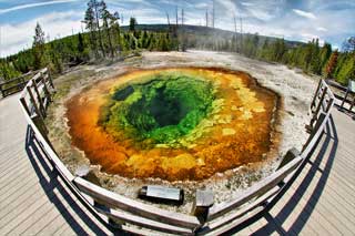 Национальные Парки Yellowstone (Йеллоустоунский заповедник) & Grand Teton (Гранд Тетон)