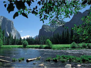 Один из живописных уголков Национального Парка США Йосемити, Калифорния