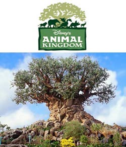 Animal Kingdom (Королевство животных) - самый большой из парков Диснея, посвященный охране животных и окружающей среды