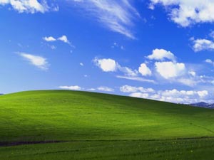     (Napa Valley), ,      Windows XP